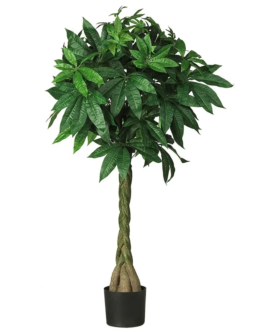 Nearly Natural 51in Braided Money Tree - Green image