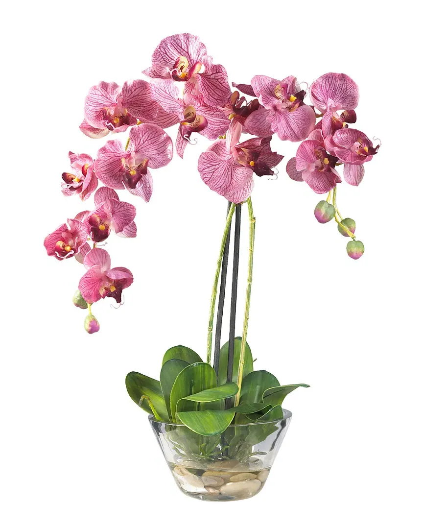 Phalaenopsis with Glass Vase Silk Flower Arrangement - Purple