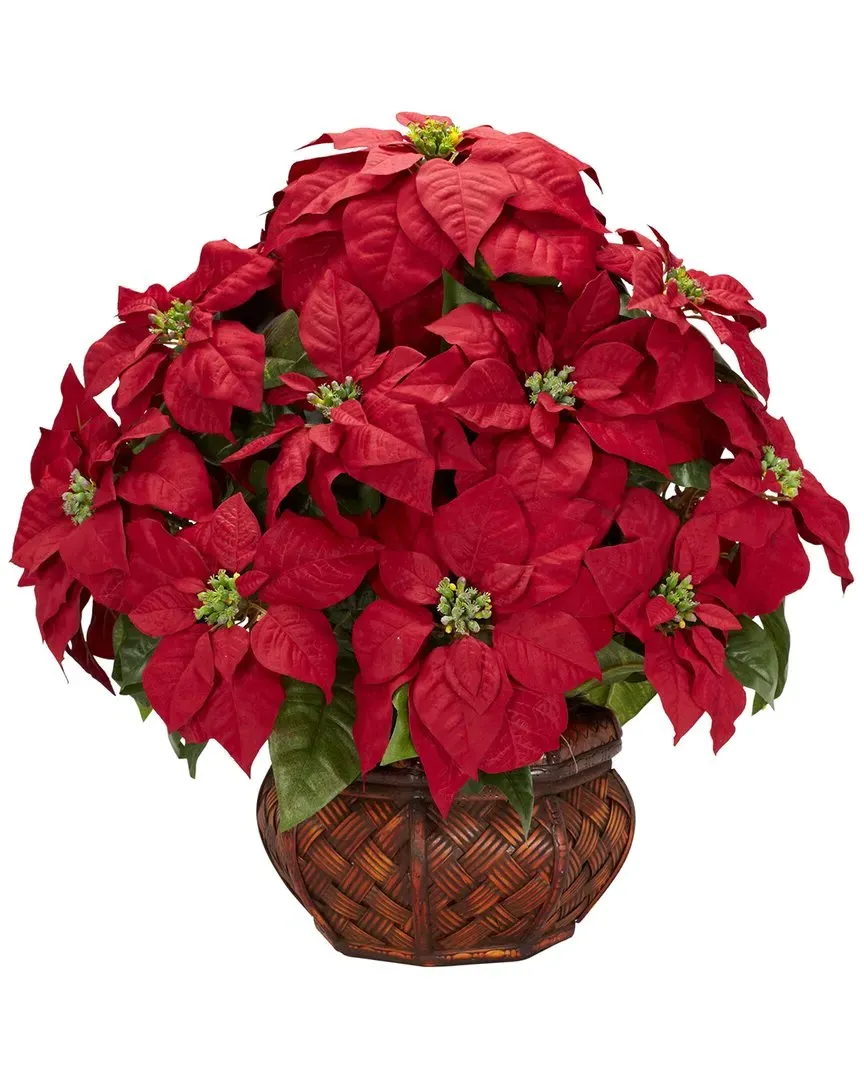 Poinsettia with Decorative Planter Arrangement - Red