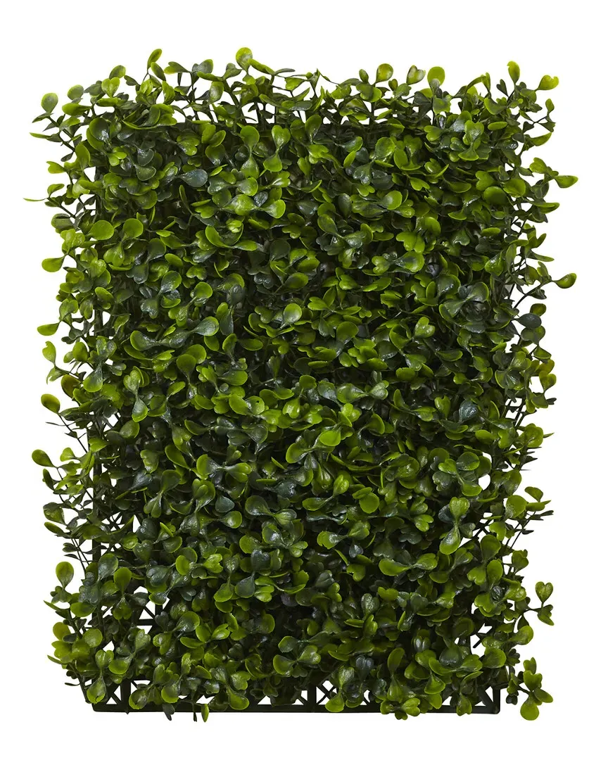 Set of 12 Boxwood Mats - Green