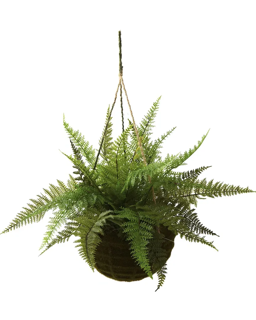 Set of 2 Leather Ferns with Mossy Hanging Basket - Green