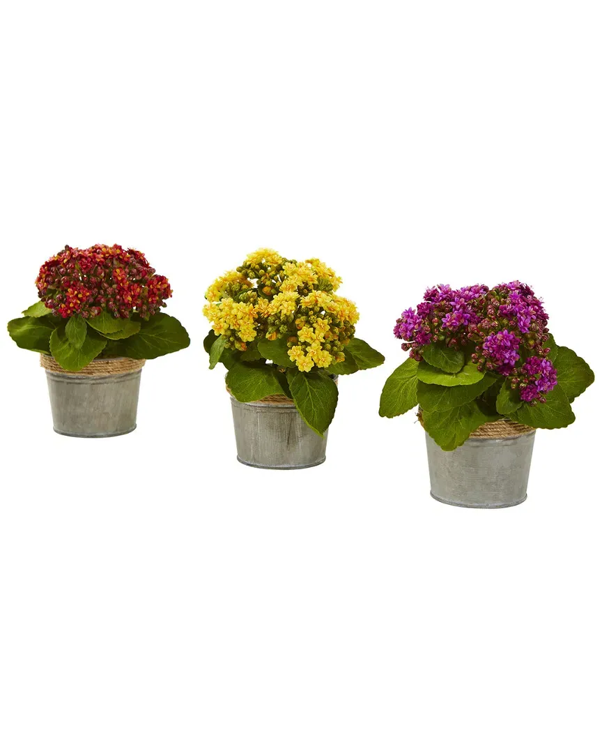 Set of 3 Kalanchoe Artificial Arrangements - Multi image