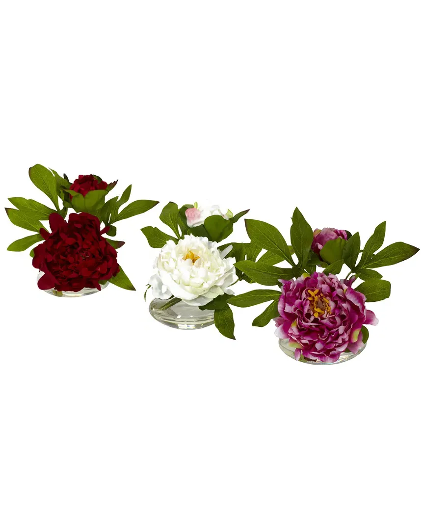 Set of 3 Peonies with Glass Vase - Multi image