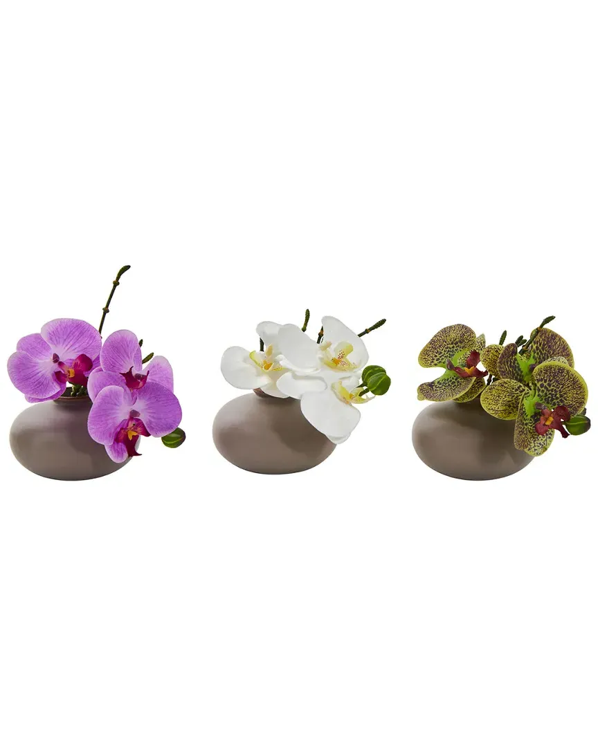 Set of 3 Phalaenopsis Orchid Artificial Arrangements image