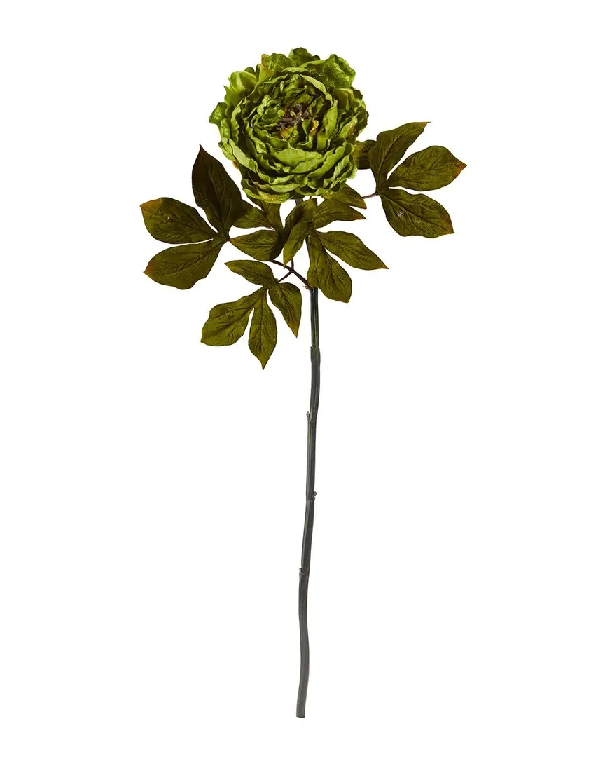 Set of 6 30in Peony Artificial Flower Stems - Green