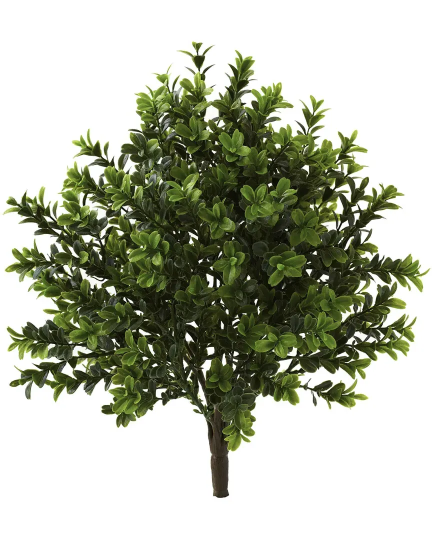 Set of 6 Sweet Grass Bush - Green image