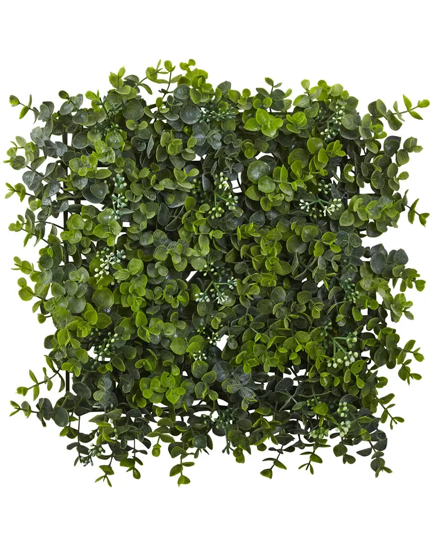 Set of 8 Eucalyptus Mat - Green image