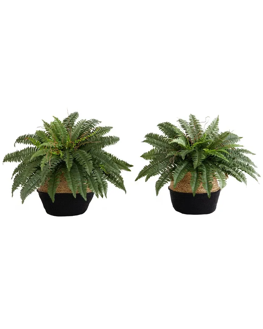 Set of Two 23in Artificial Boston Fern Plants with Basket DIY Kit - Green