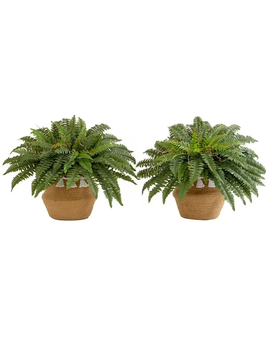 Set of Two 23in Artificial Boston Fern Plants with Tassel Basket DIY Kit - Green