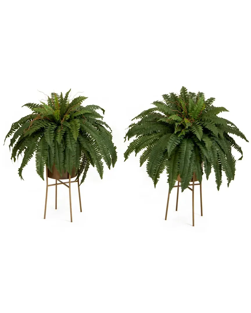 Set of Two 32in Boston Fern Plants with Metal Planter & Stand