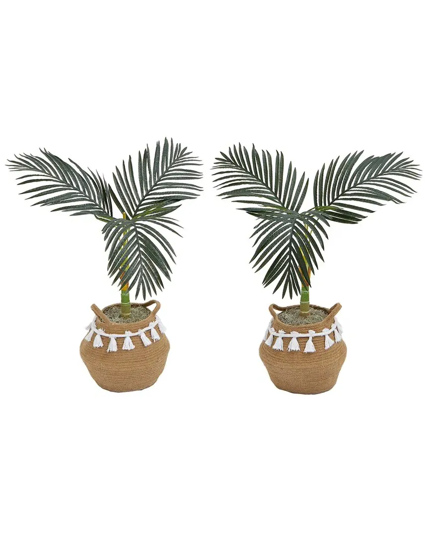 Set of Two 3ft Golden Cane Palm Trees with Basket DIY Kit - Green image