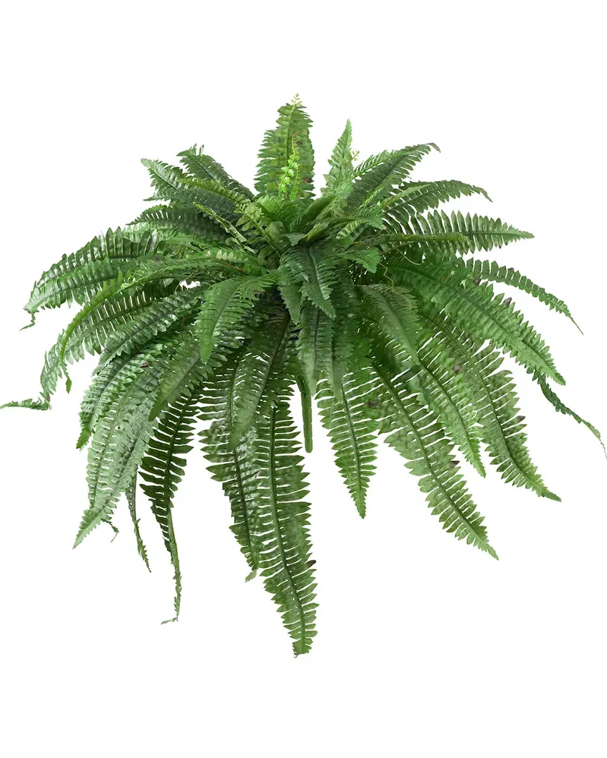 Set of Two 48in Boston Ferns - Green