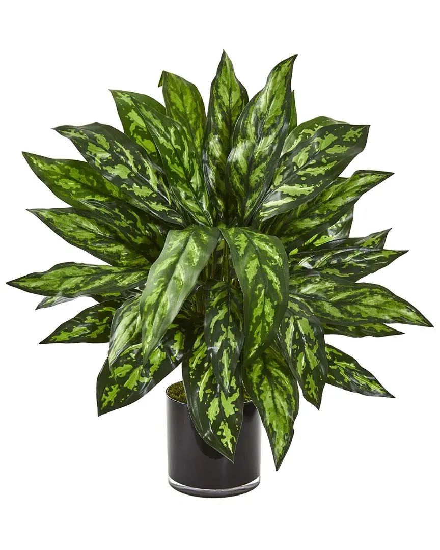 Silver King Artificial Plant in Black Glass Vase - Green image