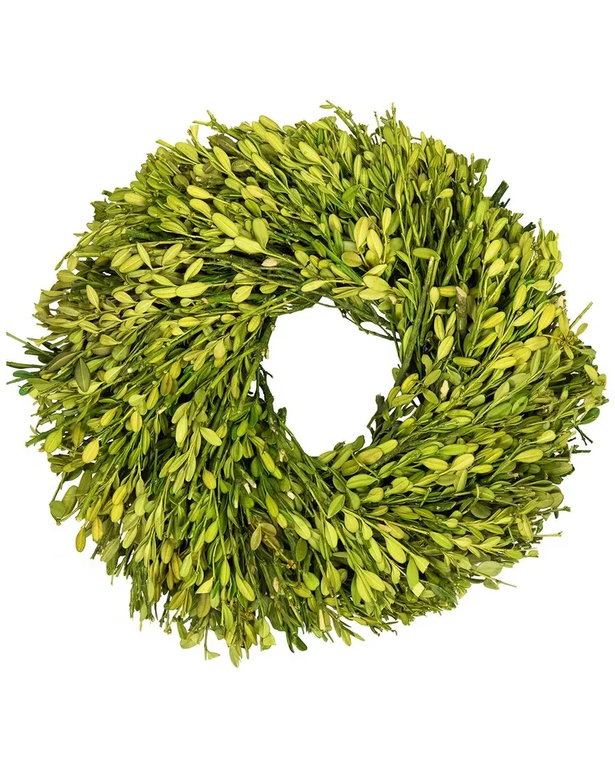 11in Foliage Artificial Spring Wreath - Green