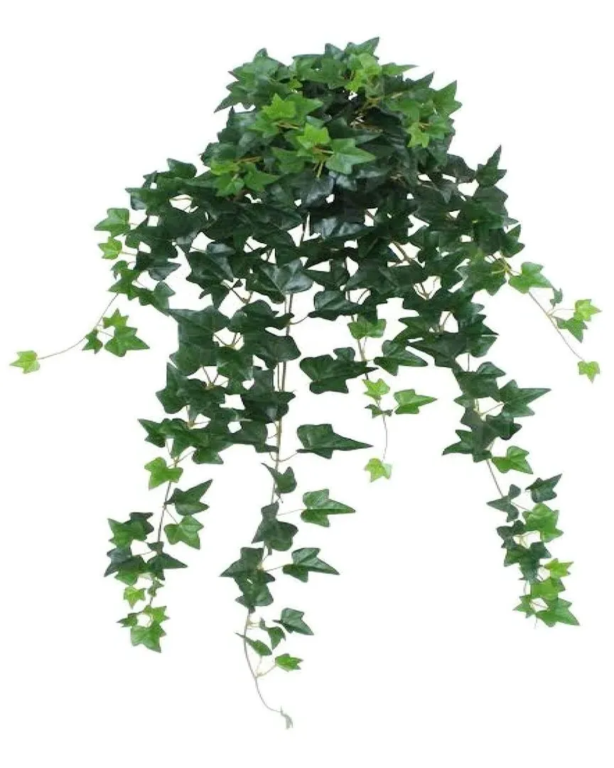 21in Artificial Ivy Hanging Bush - Green image