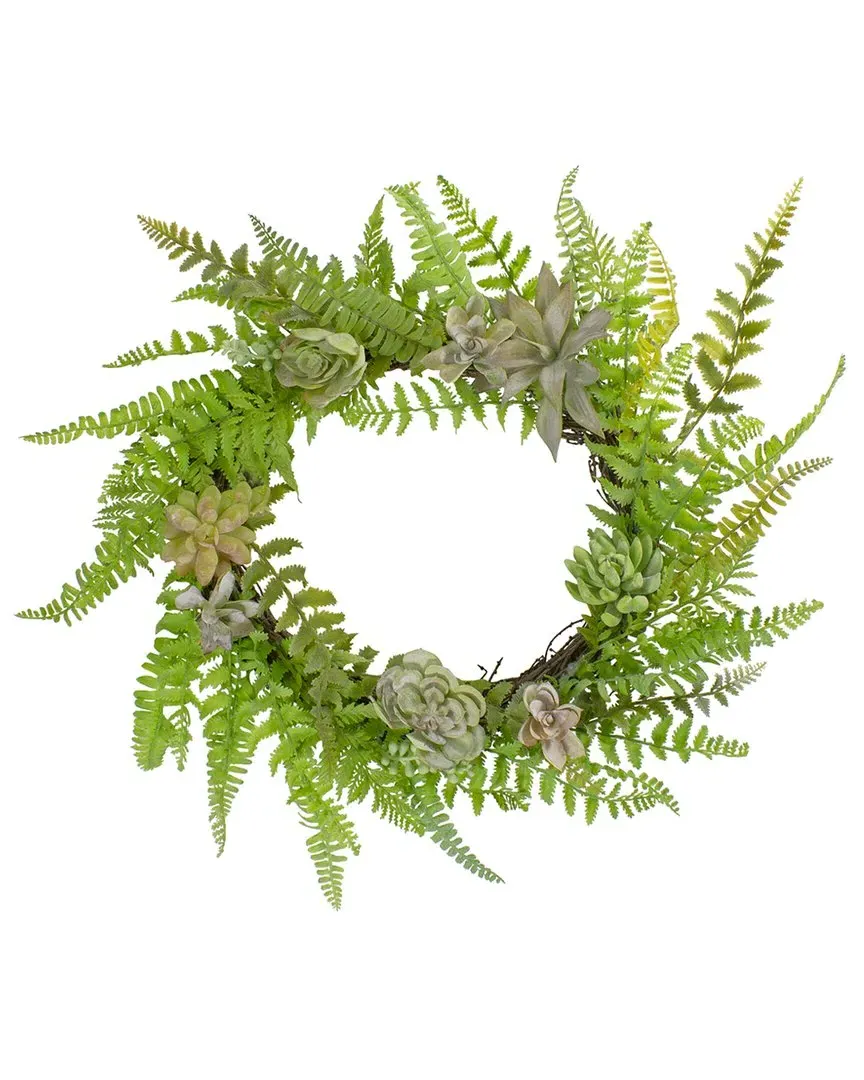 22in Succulents & Foliage Artificial Twig Wreath - Green
