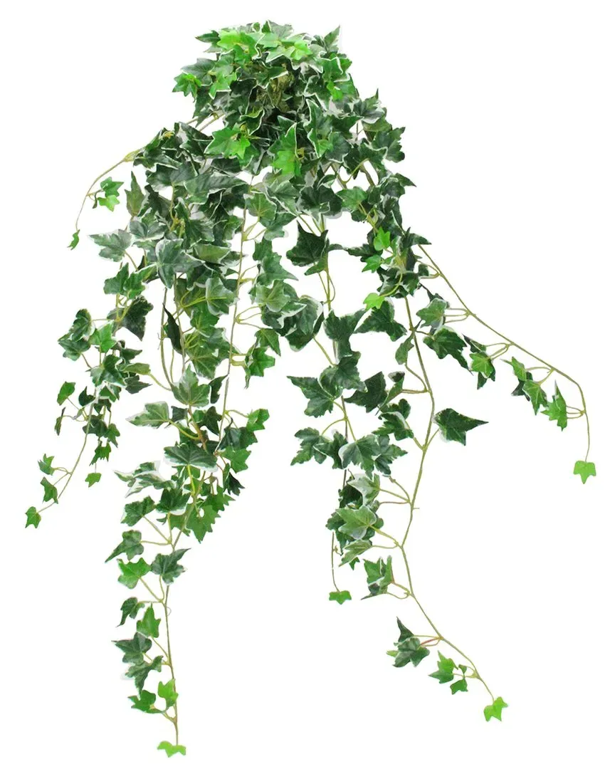 30in Variegated Ivy Artificial Hanging Bush - Green
