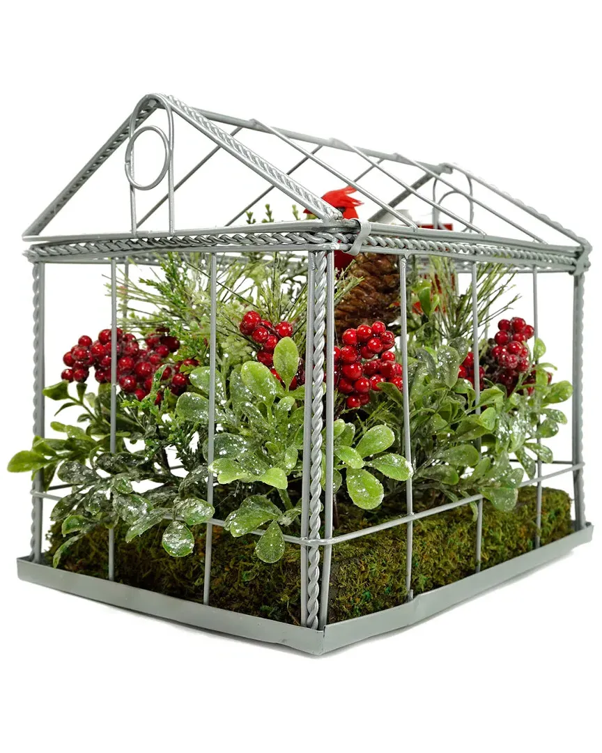 Cardinal Boxwood & Berry Christmas Greenhouse Arrangement - Red image