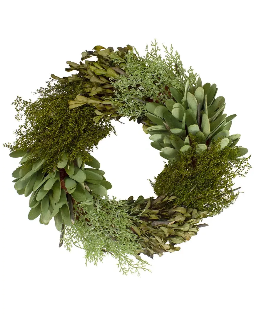 Cedar Succulent & Day Grass Artificial Wreath - Green image