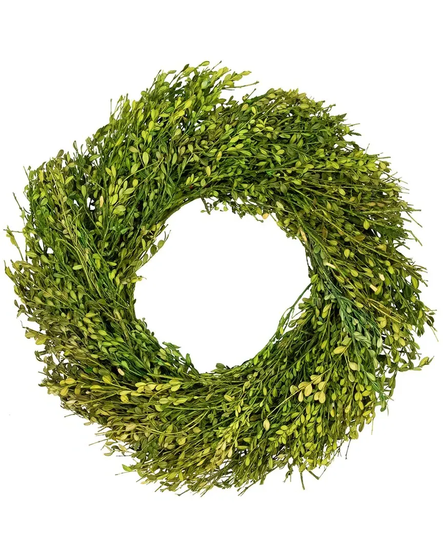 Northlight Foliage Artificial Wreath - Green image