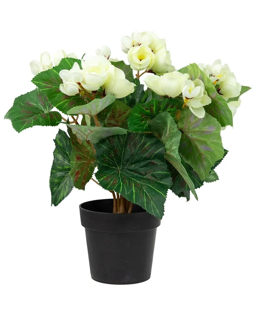 Potted Silk Begonia Artificial Floral Arrangement - Ivory image