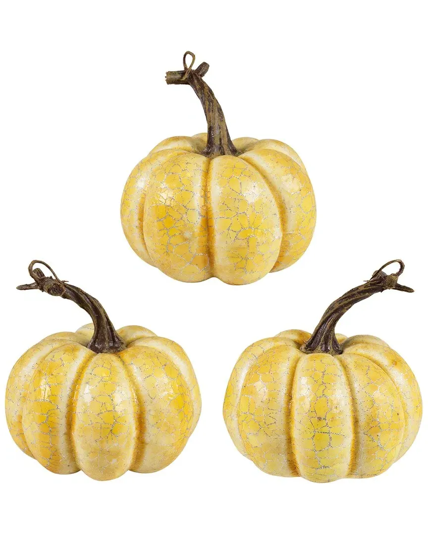Set of 3 Crackle Finish Fall Harvest Pumpkins - White image