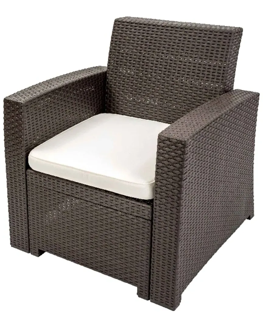 Plastique Lounge Chair - Brown image