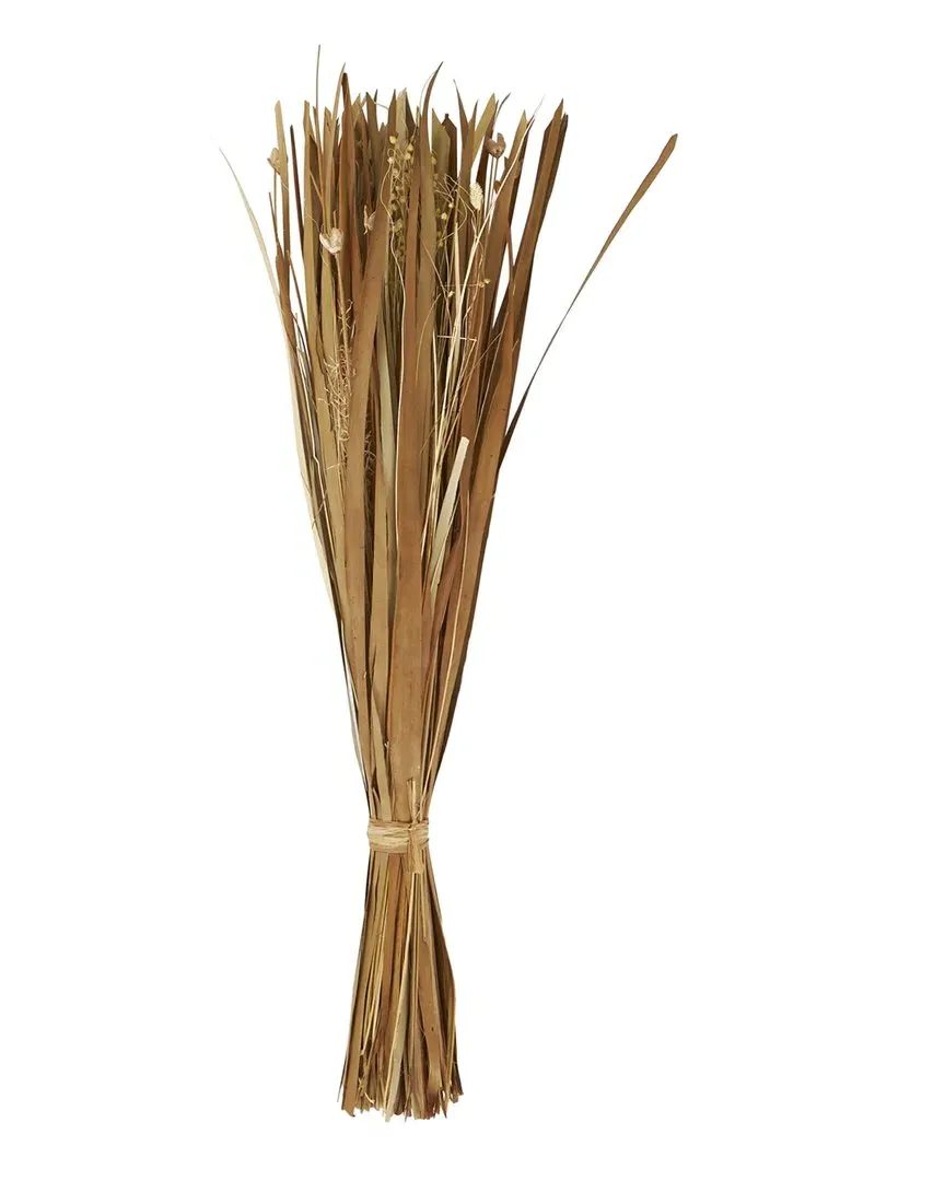 Dried Plant Foliage - Brown