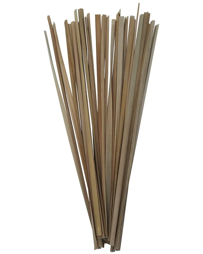 Dried Plant with Slender Stems - Light Brown