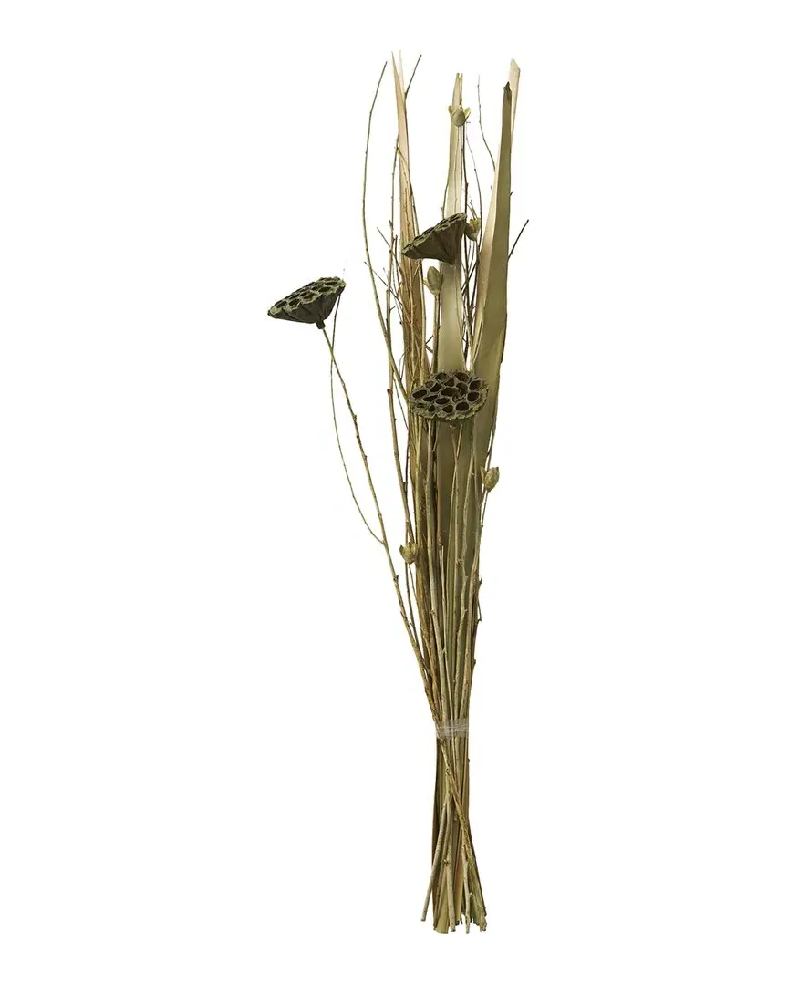 Lotus Flower Tall Bouquet - Green, Dried Plant