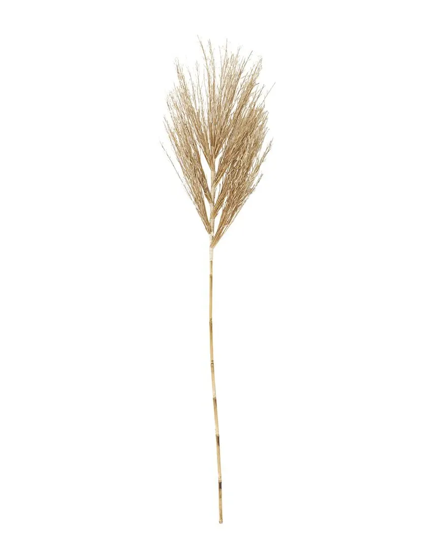 Palm Leaf Tall Dried Plant - Brown image