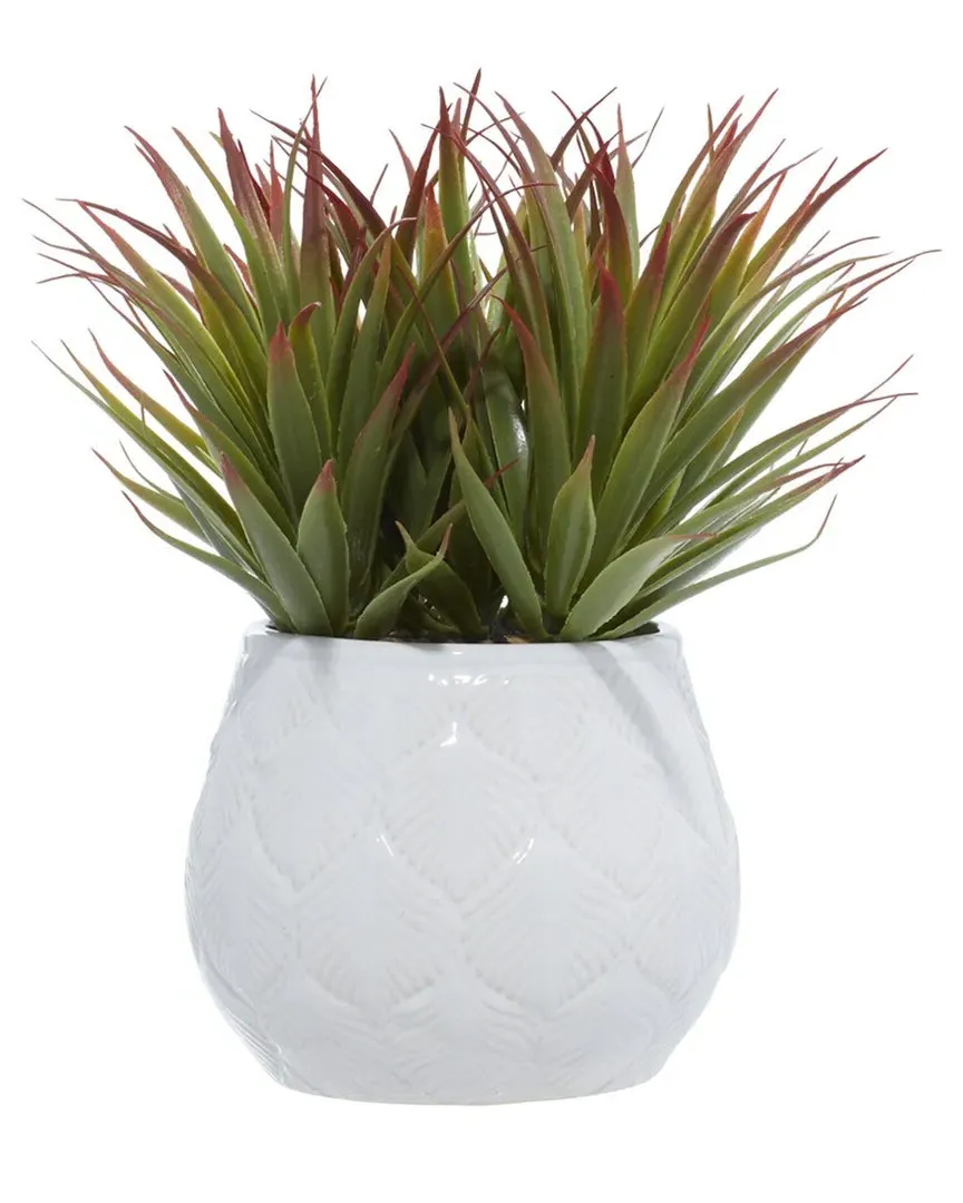 Striped Stemmed Aloe Artificial Plant - Green, Ceramic