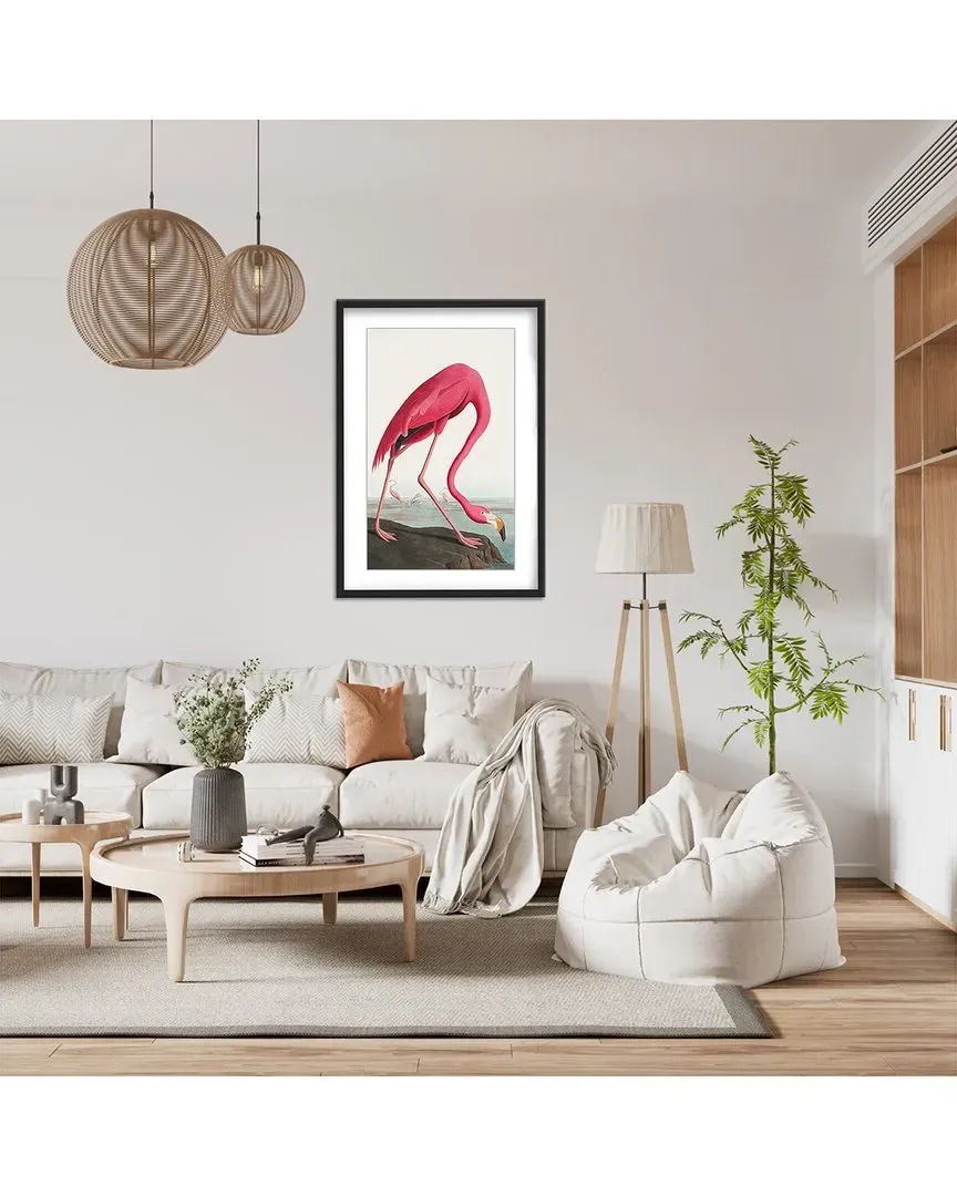 Pink Flamingo II Birds of America Audubon Wall Art - Black Frame