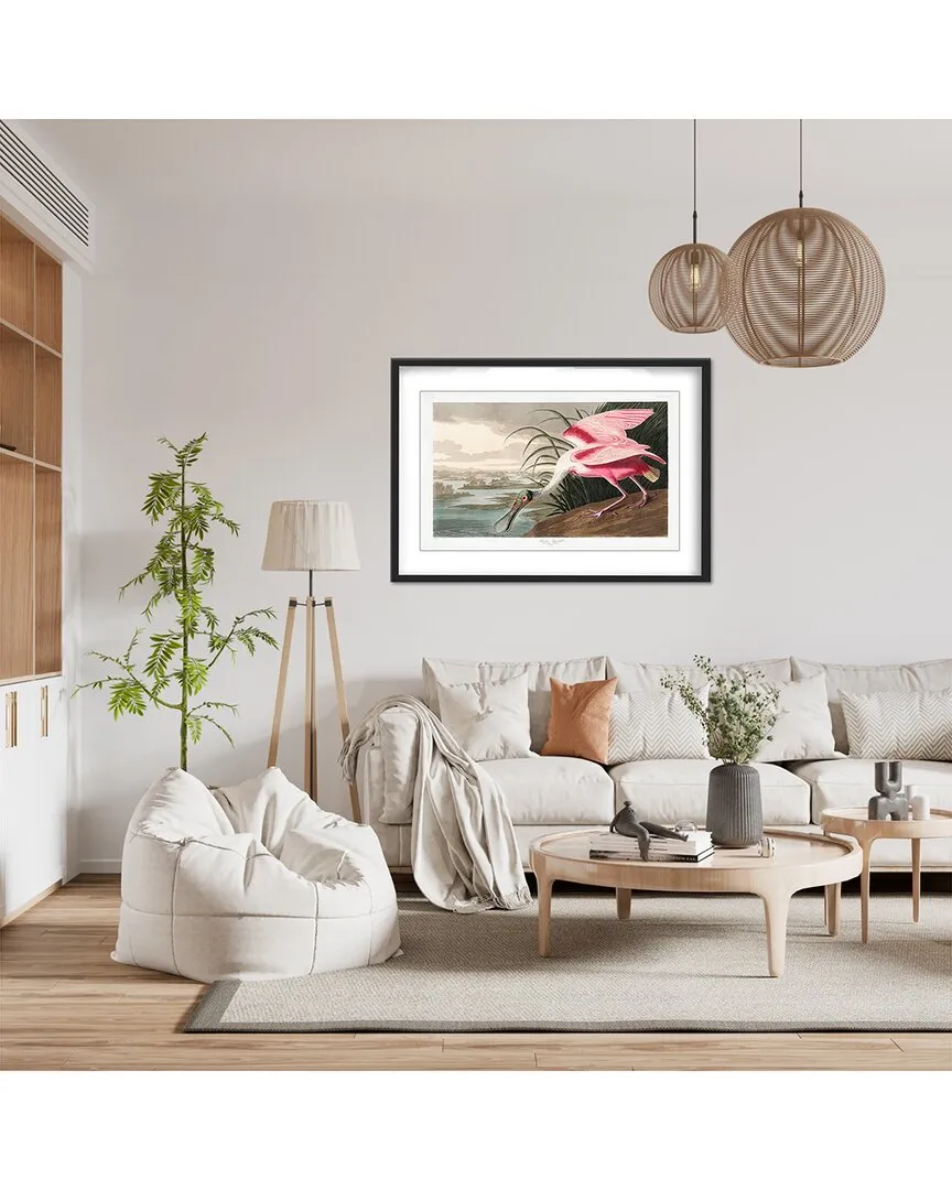 Roseate Spoonbill Birds of America Audubon Wall Art - Black Frame