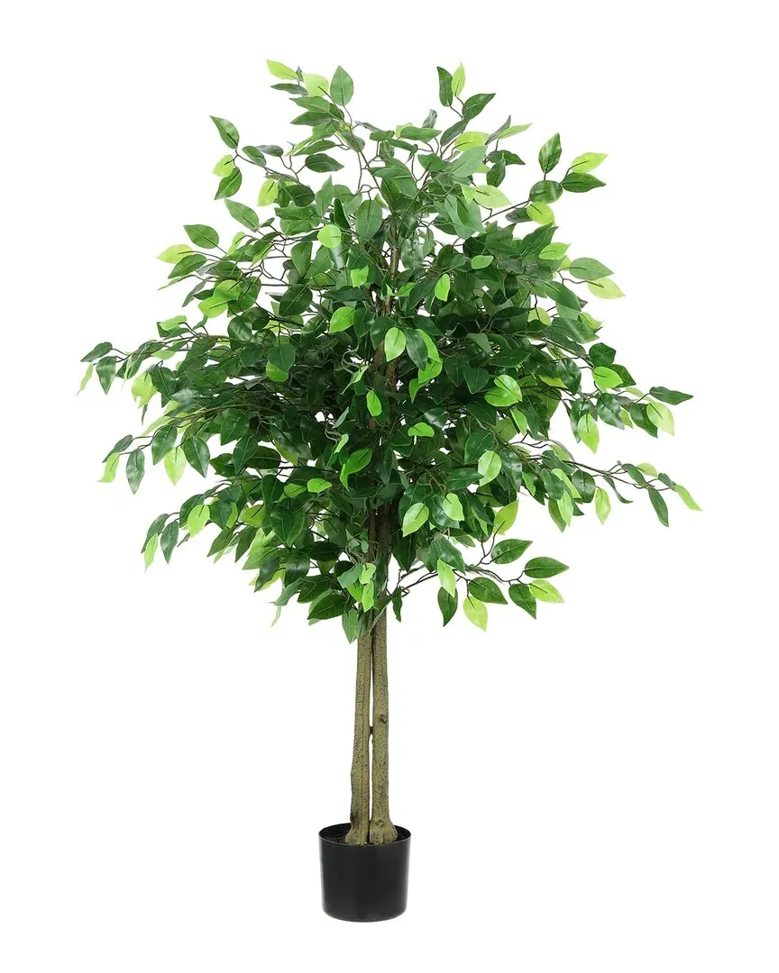 55in Potted Bush Ficus Tree - Green image