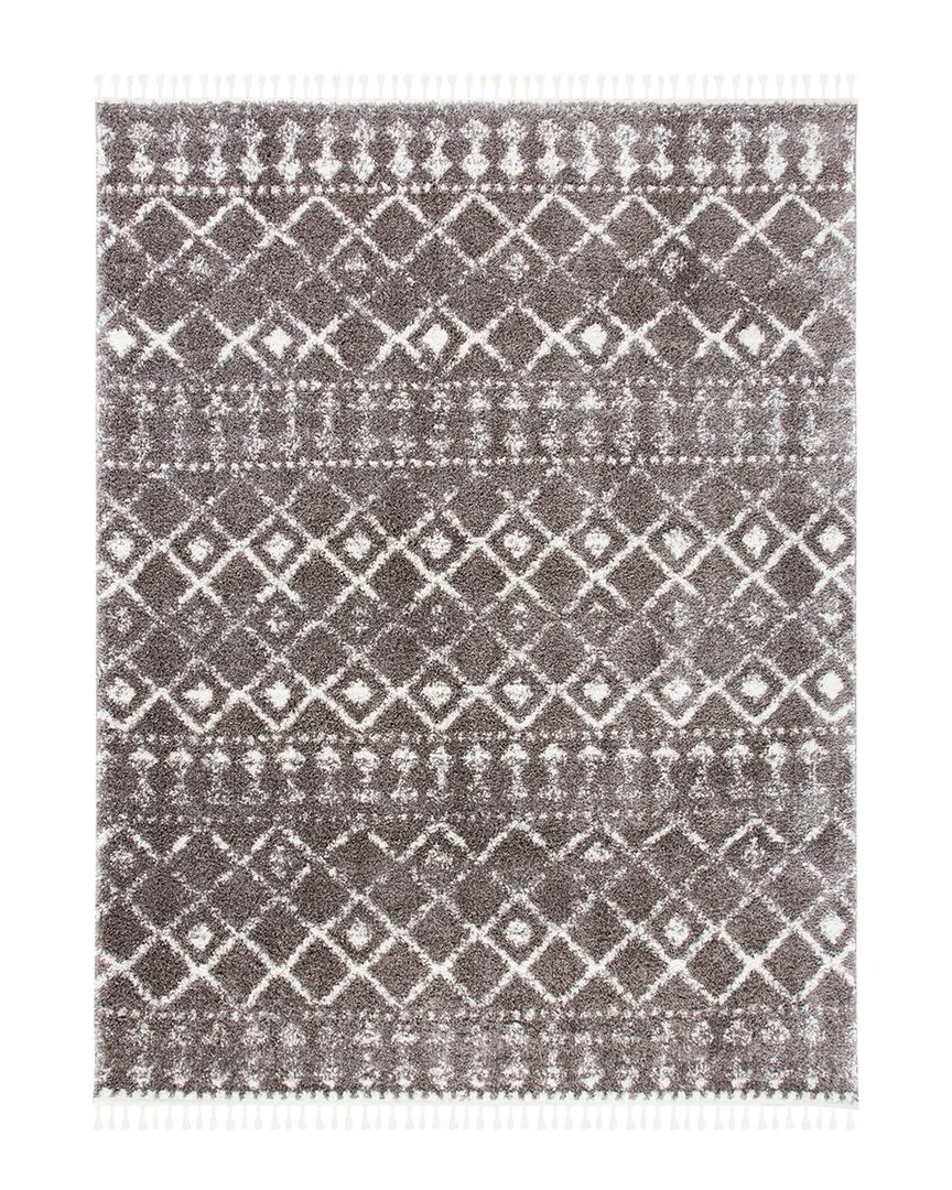 Berber Fringe Shag Area Rug - Brown