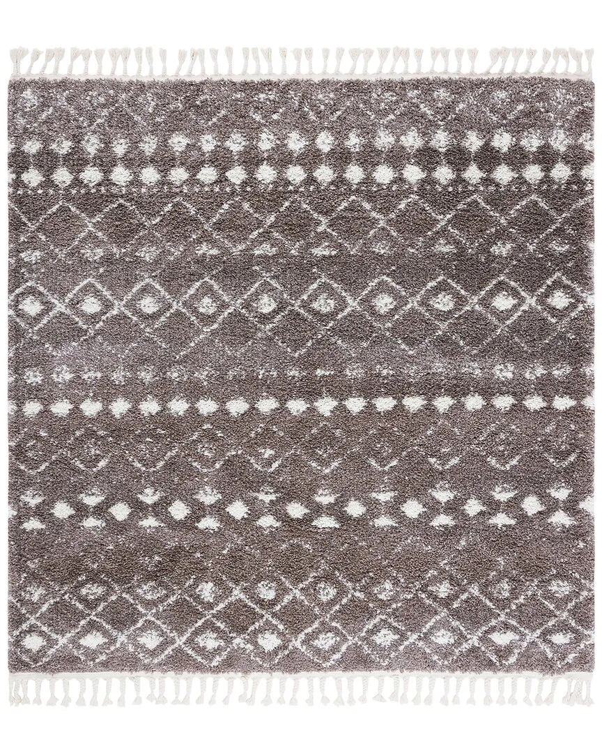 Berber Fringe Shag Area Rug - Brown