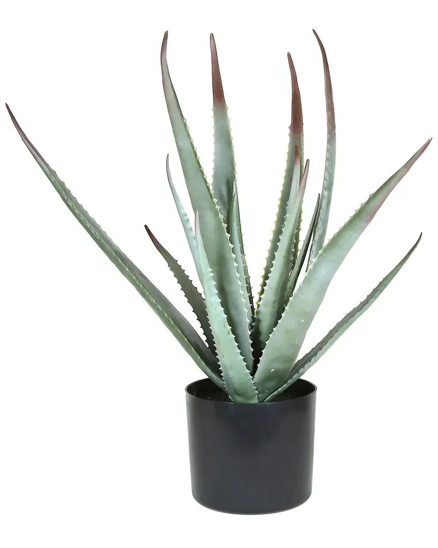 20in Artificial Potted Aloe Plant - Green