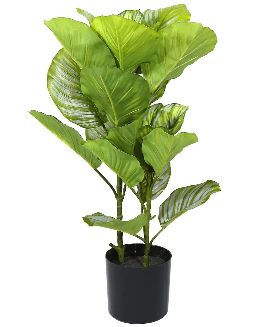 23in Artificial Potted Fiddle Leaf - Green image