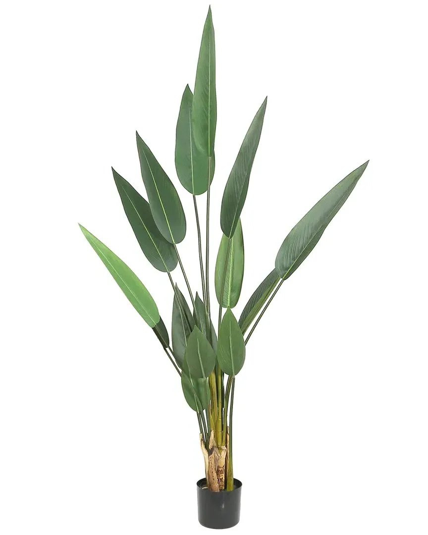 63in Potted Canna Palm Tree - Green image