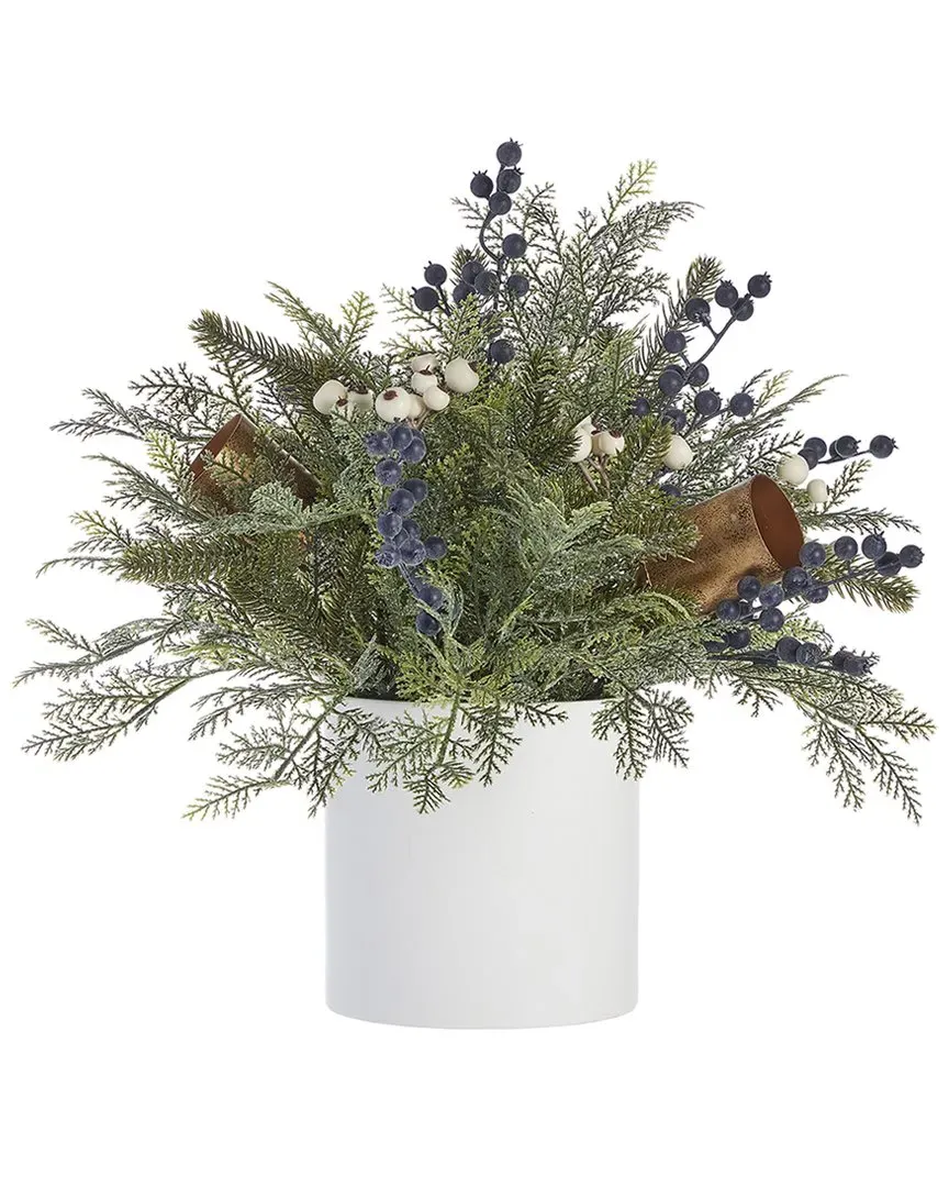 Mixed Mica Foliage 19in Arrangement with Blueberries - Green image