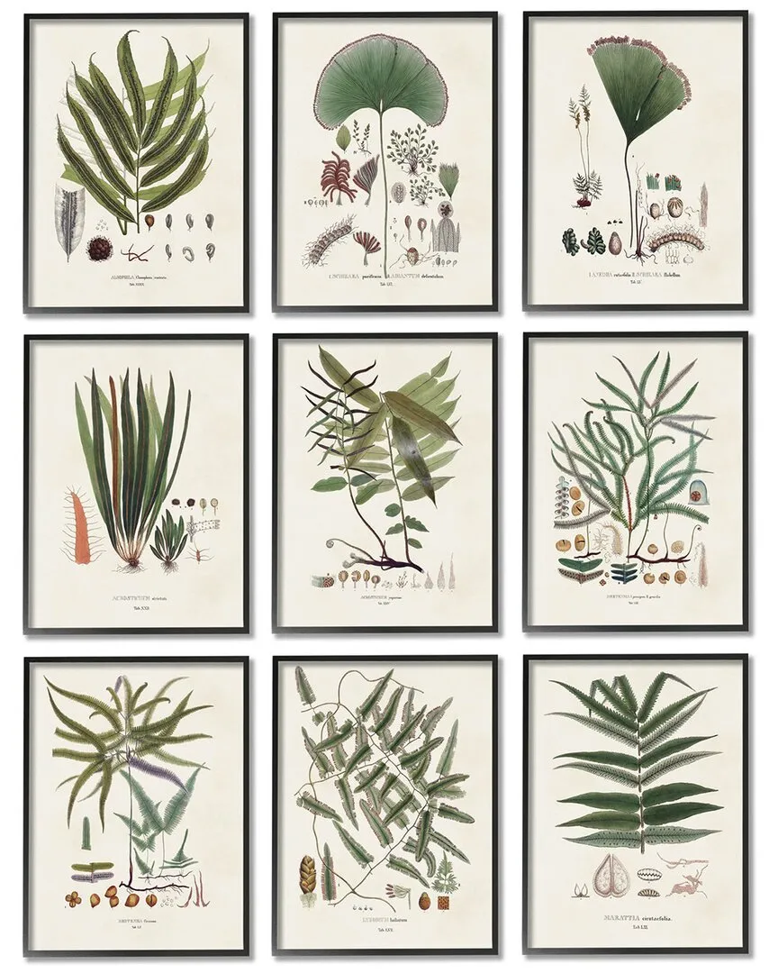 Vision Studio Leaves Wall Art Set - Black Wood Frame image