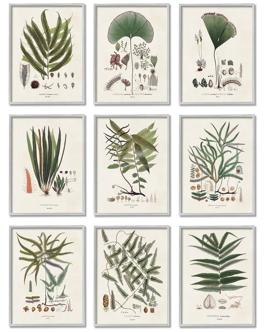 Vision Studio Leaves Wall Art Set - Gray Wood Frame