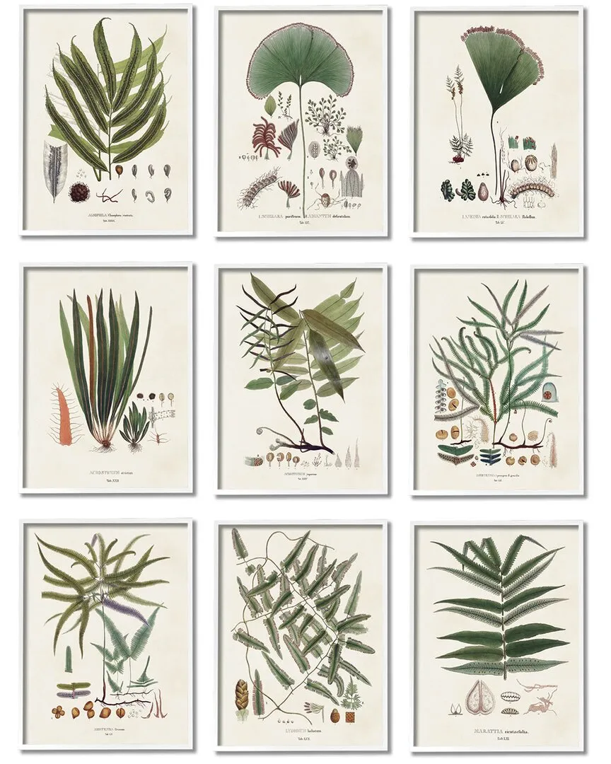 Vision Studio Leaves Wall Art Set - White Wood Frame