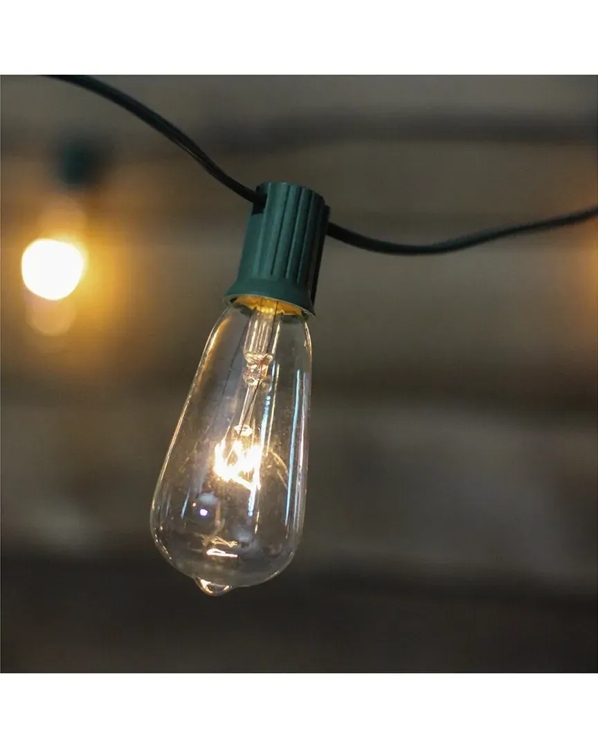 10-Count ST40 Edison Patio String Lights - Clear, Glass image