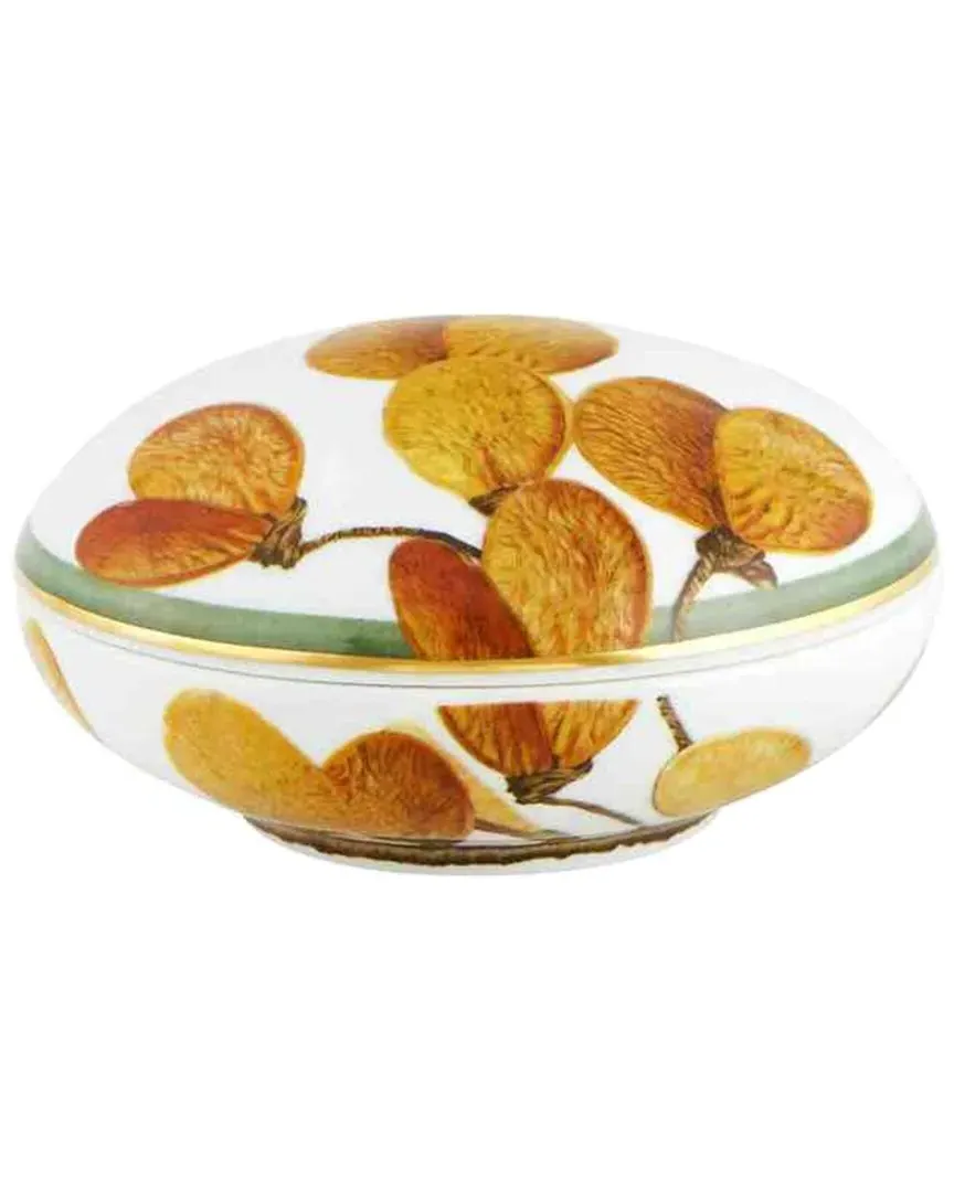 Amazonia Large Round Box - Multi, Porcelain image