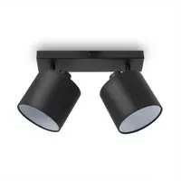Alina Wall and Ceiling Light - Black, Steel