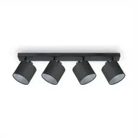 Alina Wall and Ceiling Light - Black, Steel