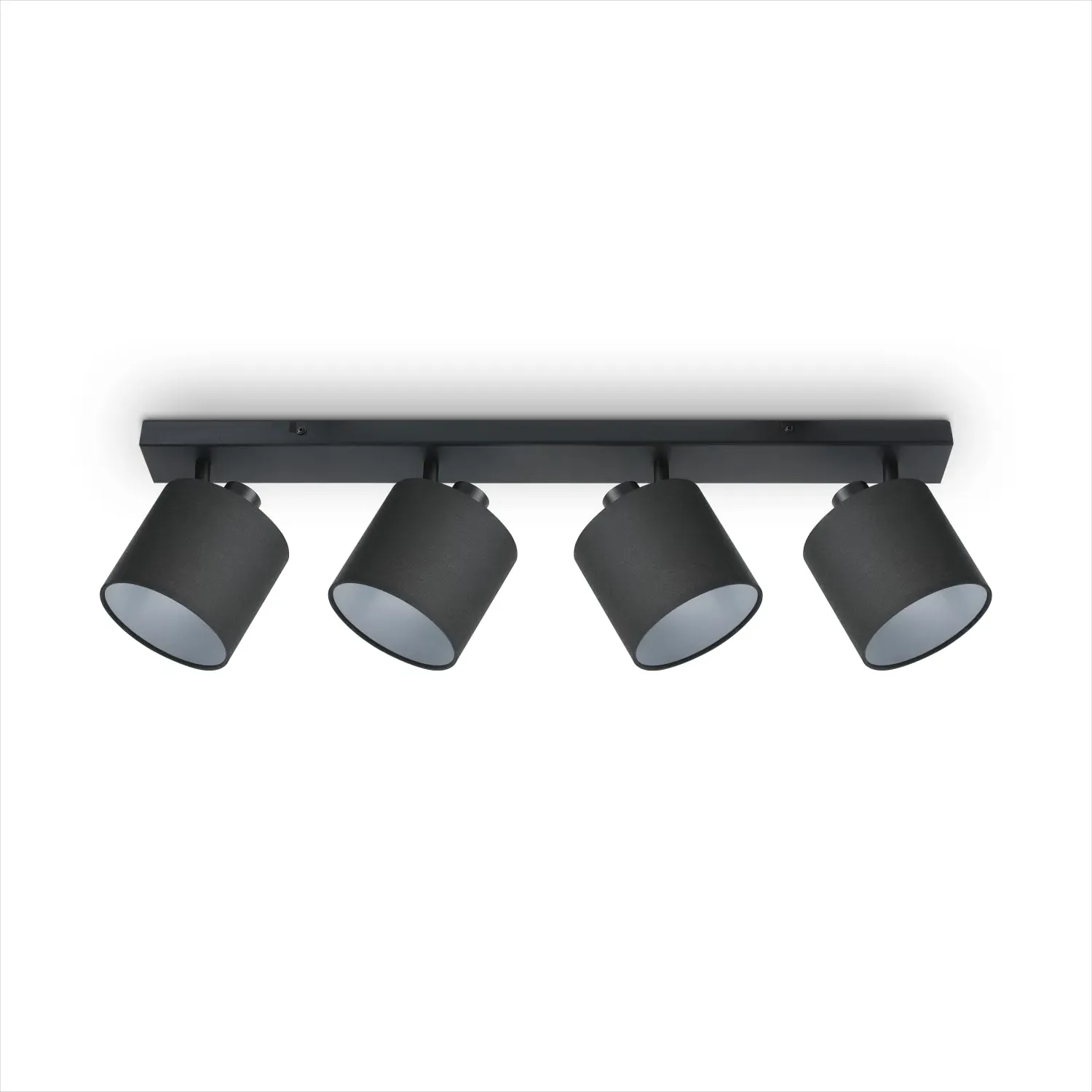 Alina Wall and Ceiling Light - Black, Steel