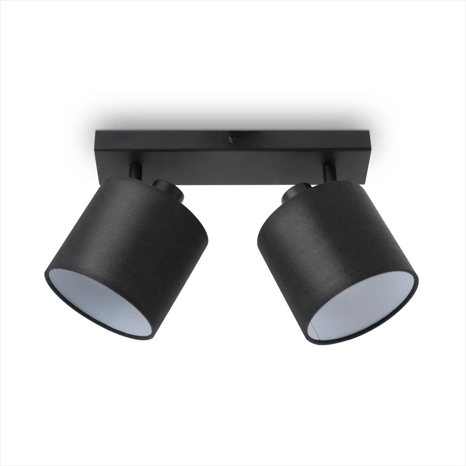Alina Wall and Ceiling Light - Black, Steel